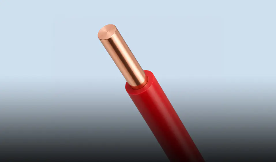 Wuxi Xinyu Cable Co., Ltd.